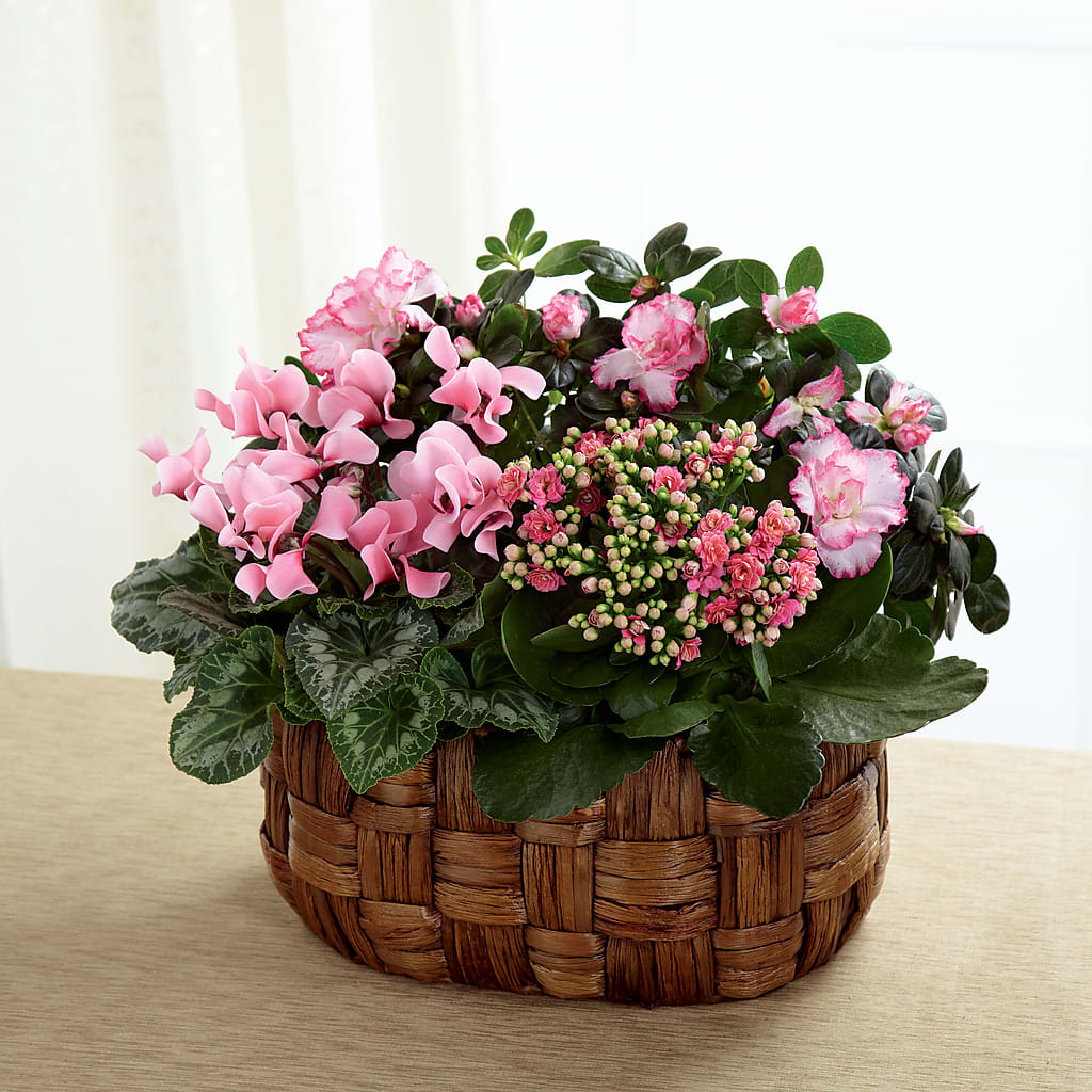 Pink Assortment – The Flower Shop, Sacramento CA