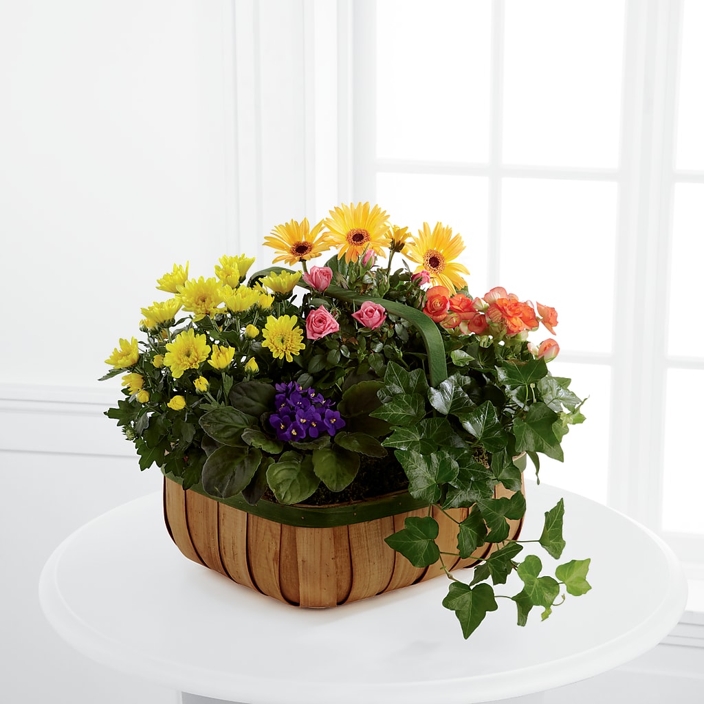 Gentle Blossoms Basket – The Flower Shop, Sacramento CA