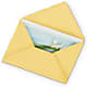 Greeting Card – The Flower Shop, Sacramento CA