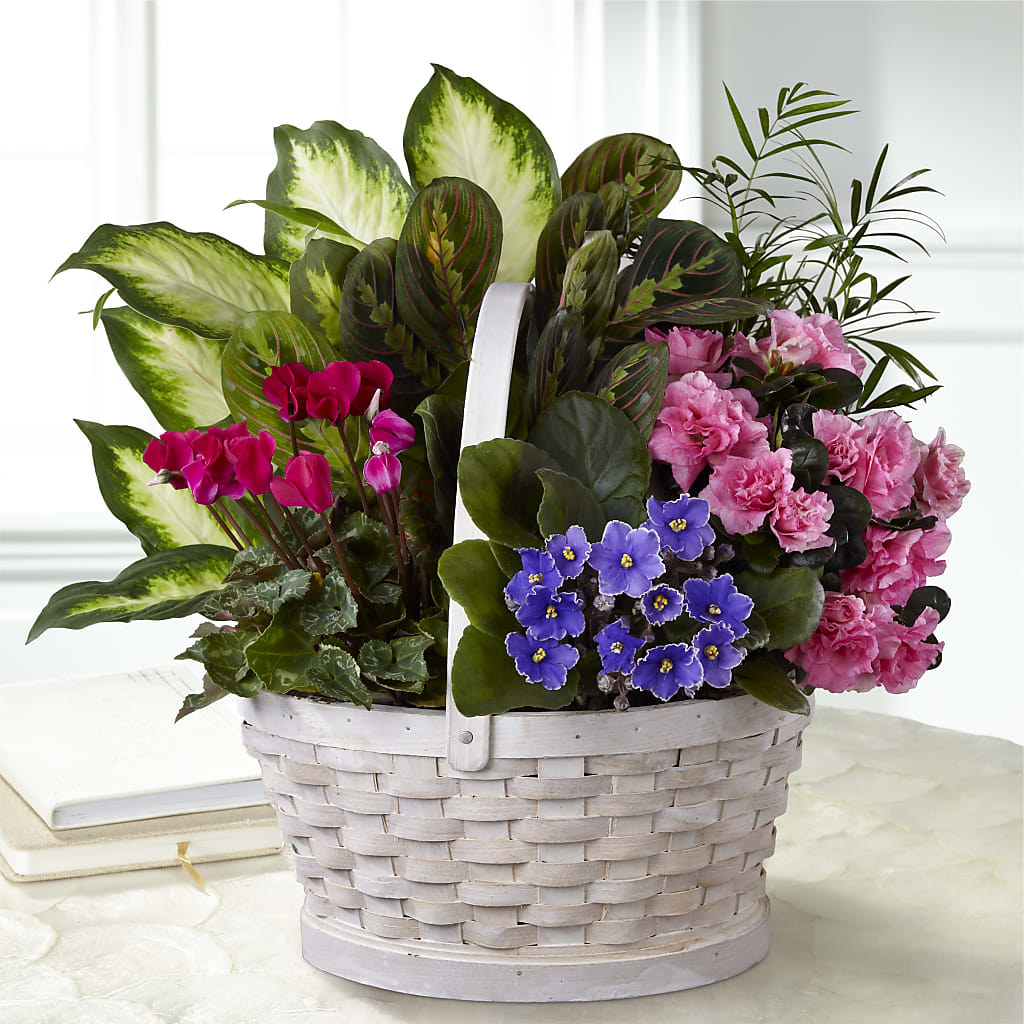 Peaceful Garden Planter – The Flower Shop, Sacramento CA