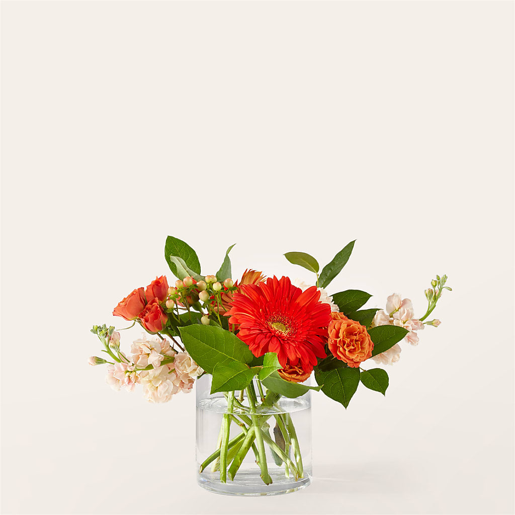 Paloma Please Bouquet – The Flower Shop, Sacramento CA