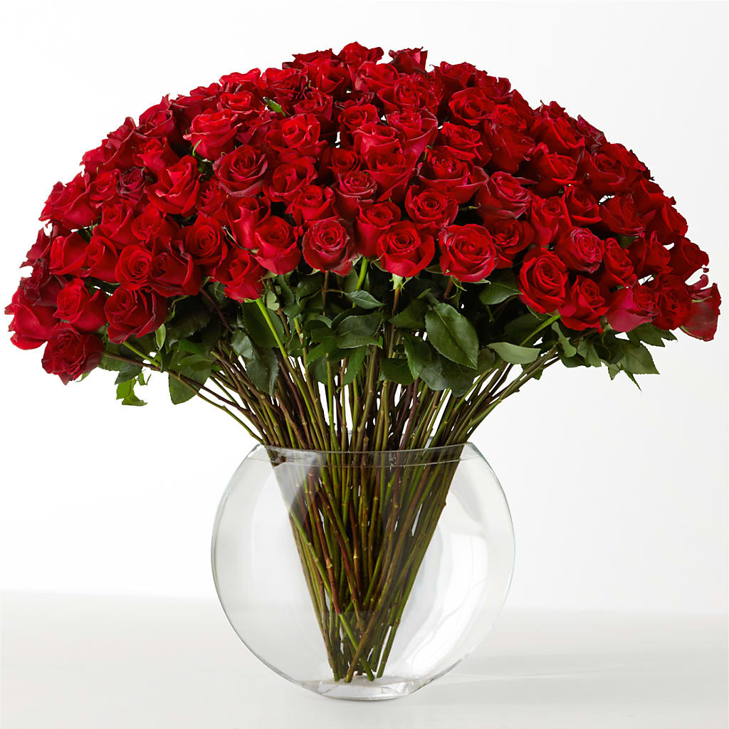 The Idealist – The Flower Shop, Sacramento CA