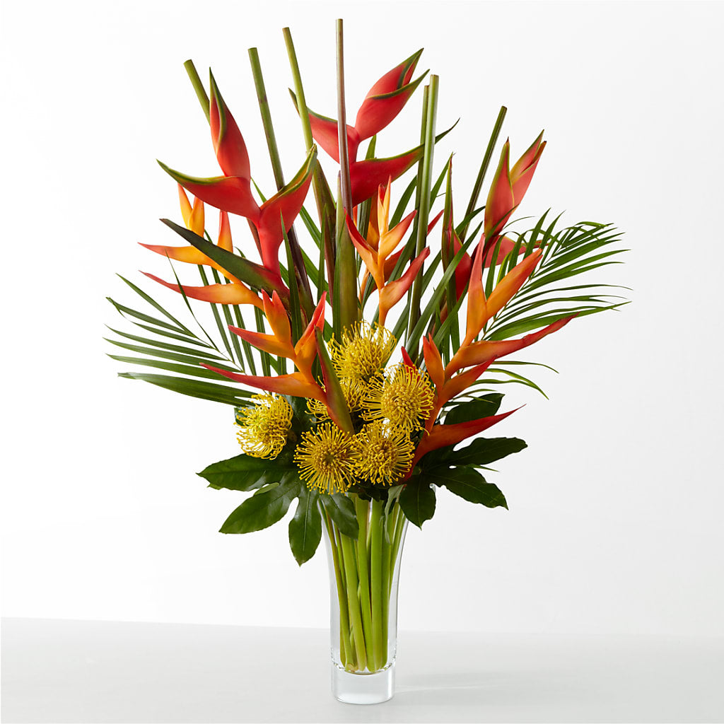 The Drama – The Flower Shop, Sacramento CA