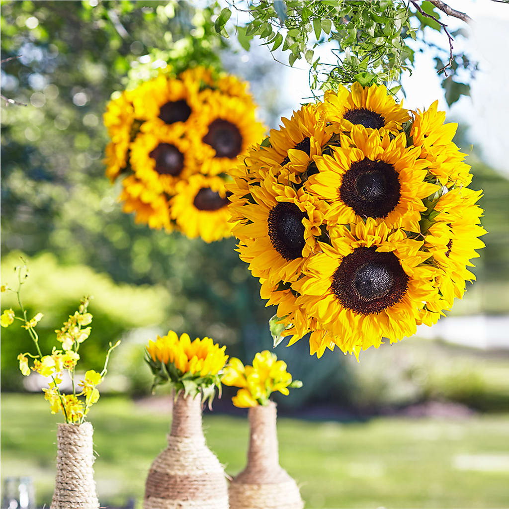 Sublime Garden Hanging Arrangement – The Flower Shop, Sacramento CA
