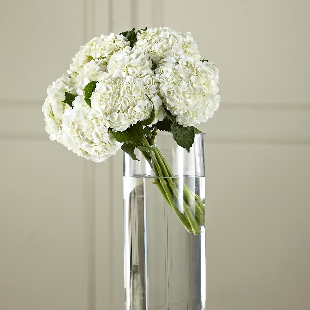 White Hydrangea Hand-Tied Bouquet – The Flower Shop, Sacramento CA