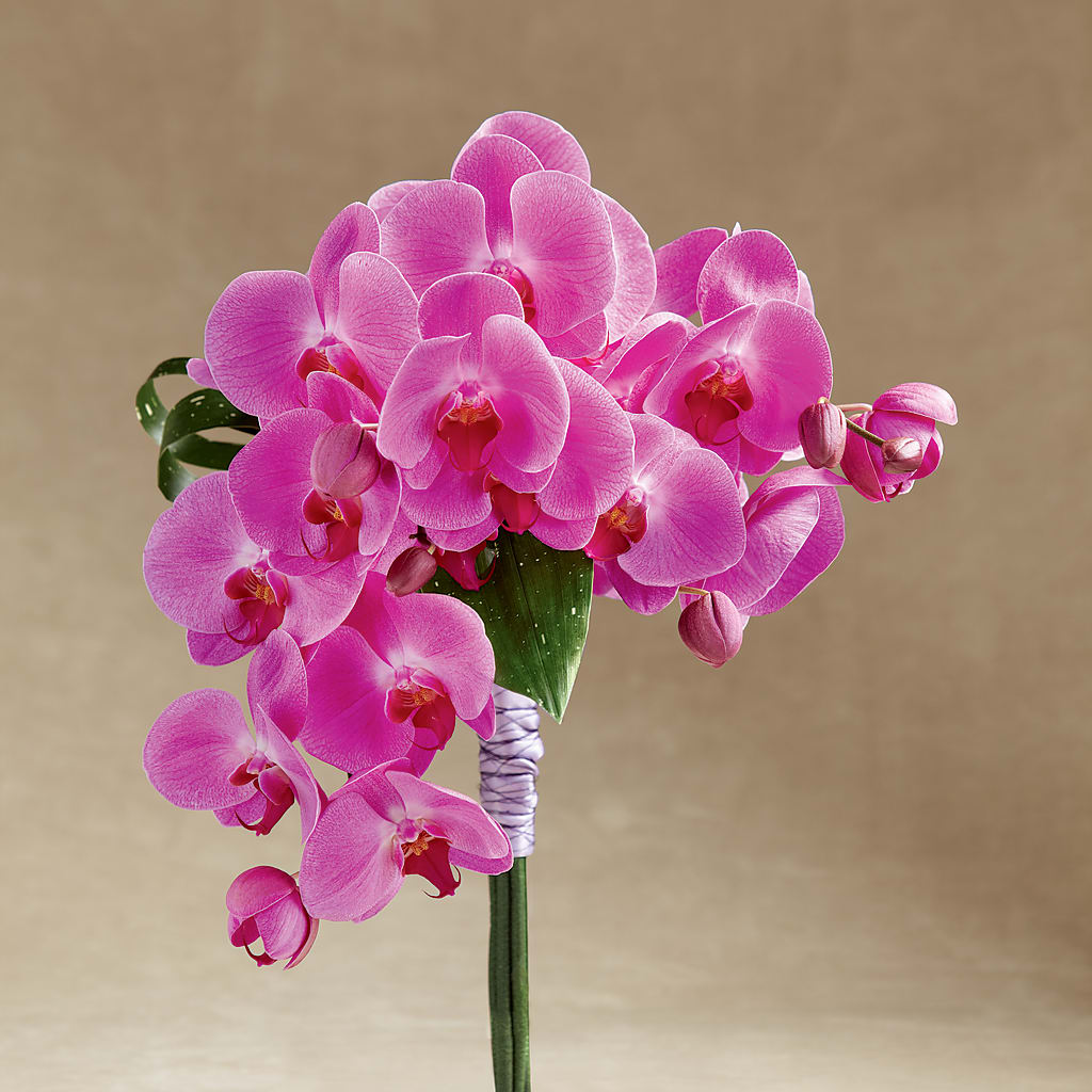 Glorious Bouquet – The Flower Shop, Sacramento CA