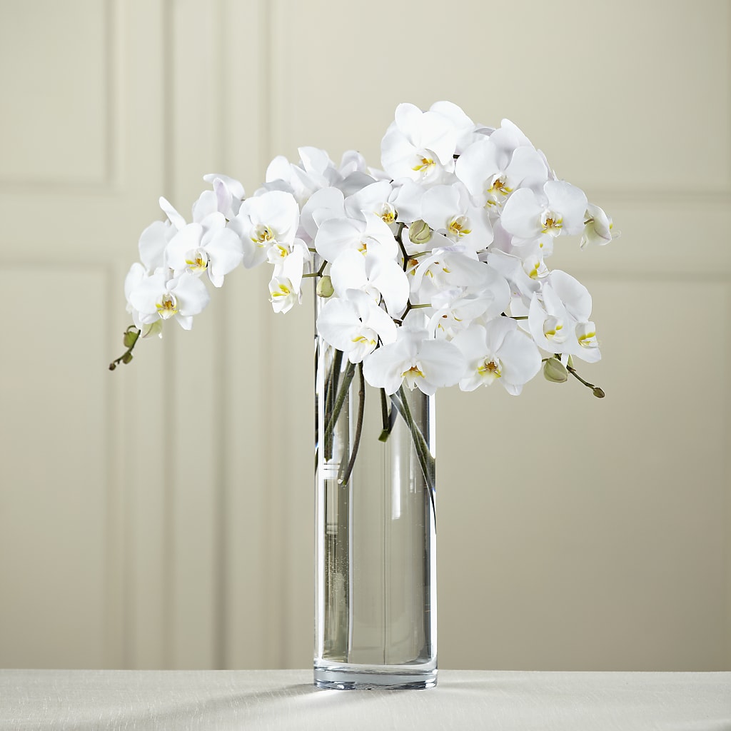 White Phalaenopsis Bouquet – The Flower Shop, Sacramento CA
