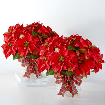 Happiest Holidays Poinsettia Bundle –  The Flower Shop, Sacramento CA
