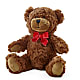 Adorable Plush Bear –  The Flower Shop, Sacramento CA