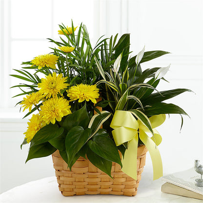 Loving Light Dishgarden –  The Flower Shop, Sacramento CA