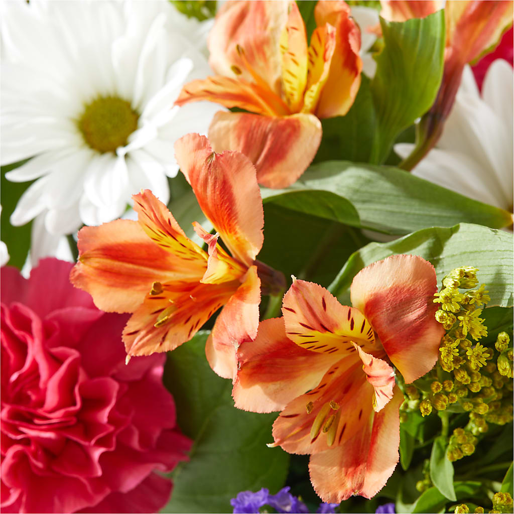 Oopsie Daisy Box Bouquet –  The Flower Shop, Sacramento CA
