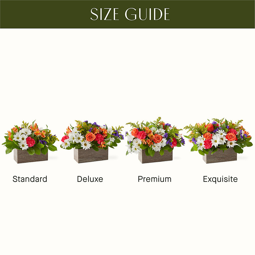 Oopsie Daisy Box Bouquet –  The Flower Shop, Sacramento CA