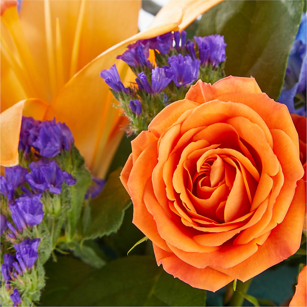 Radiant Citrus Box Bouquet –  The Flower Shop, Sacramento CA