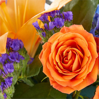 Radiant Citrus Box Bouquet –  The Flower Shop, Sacramento CA