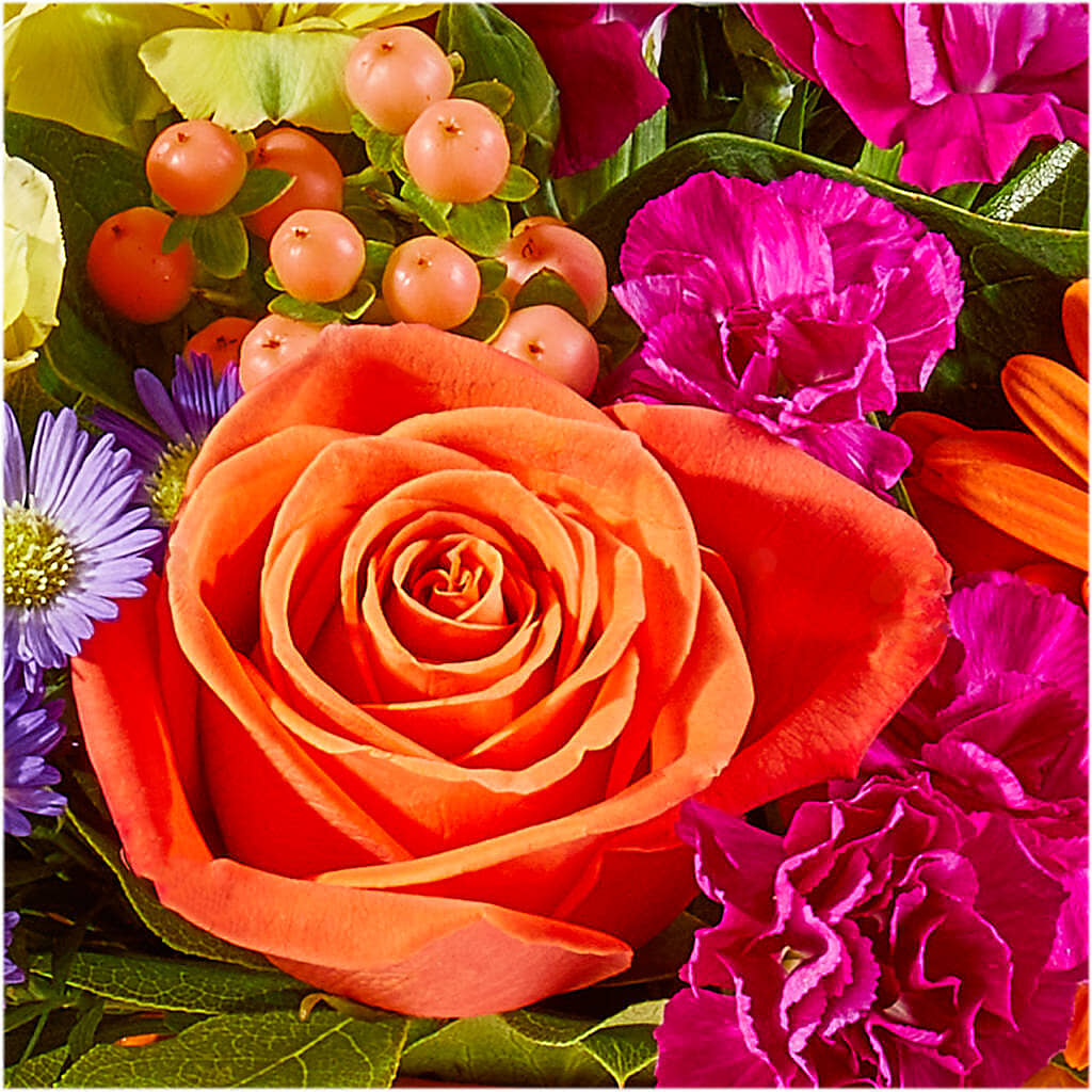 Tricks & Treats Pumpkin –  The Flower Shop, Sacramento CA