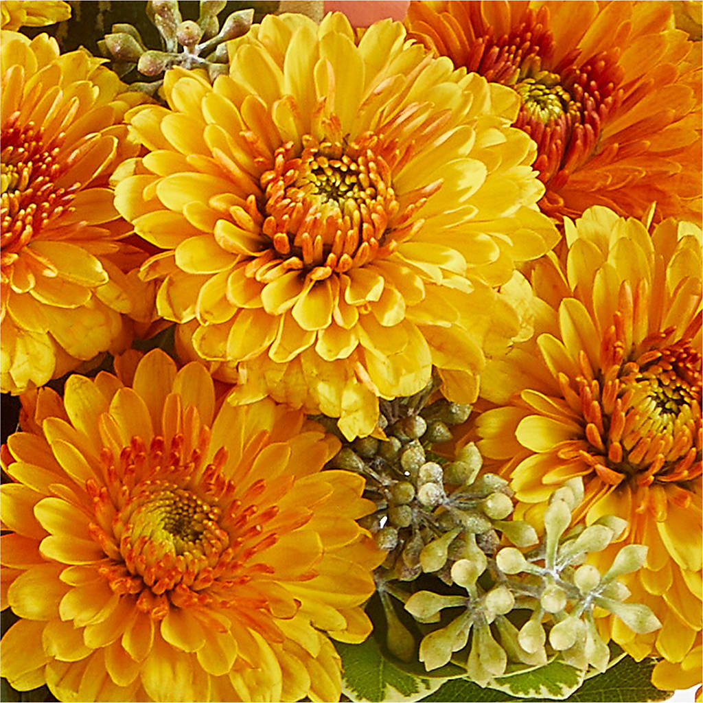 Peachy Pumpkin –  The Flower Shop, Sacramento CA