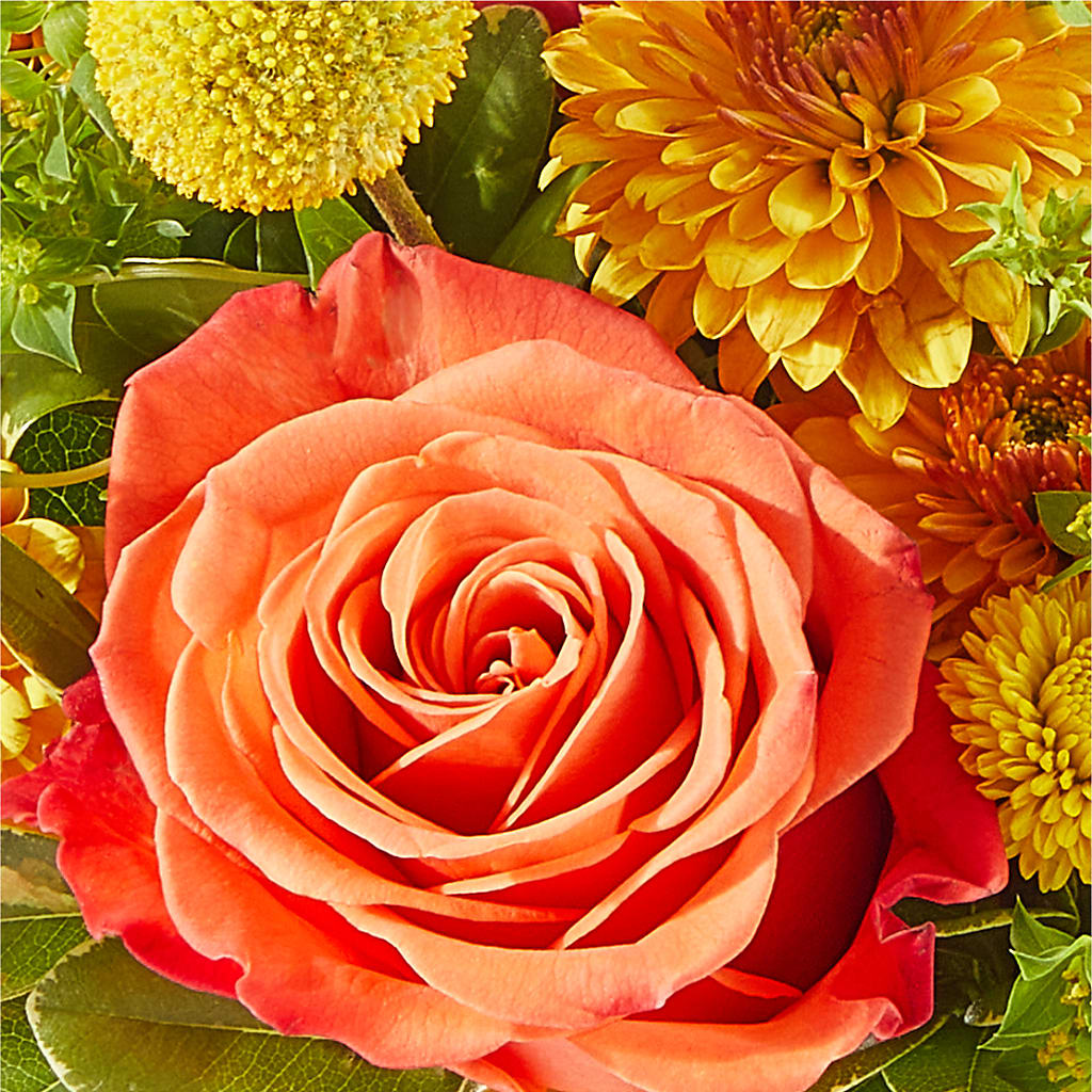 Gourdgeous Pumpkin –  The Flower Shop, Sacramento CA
