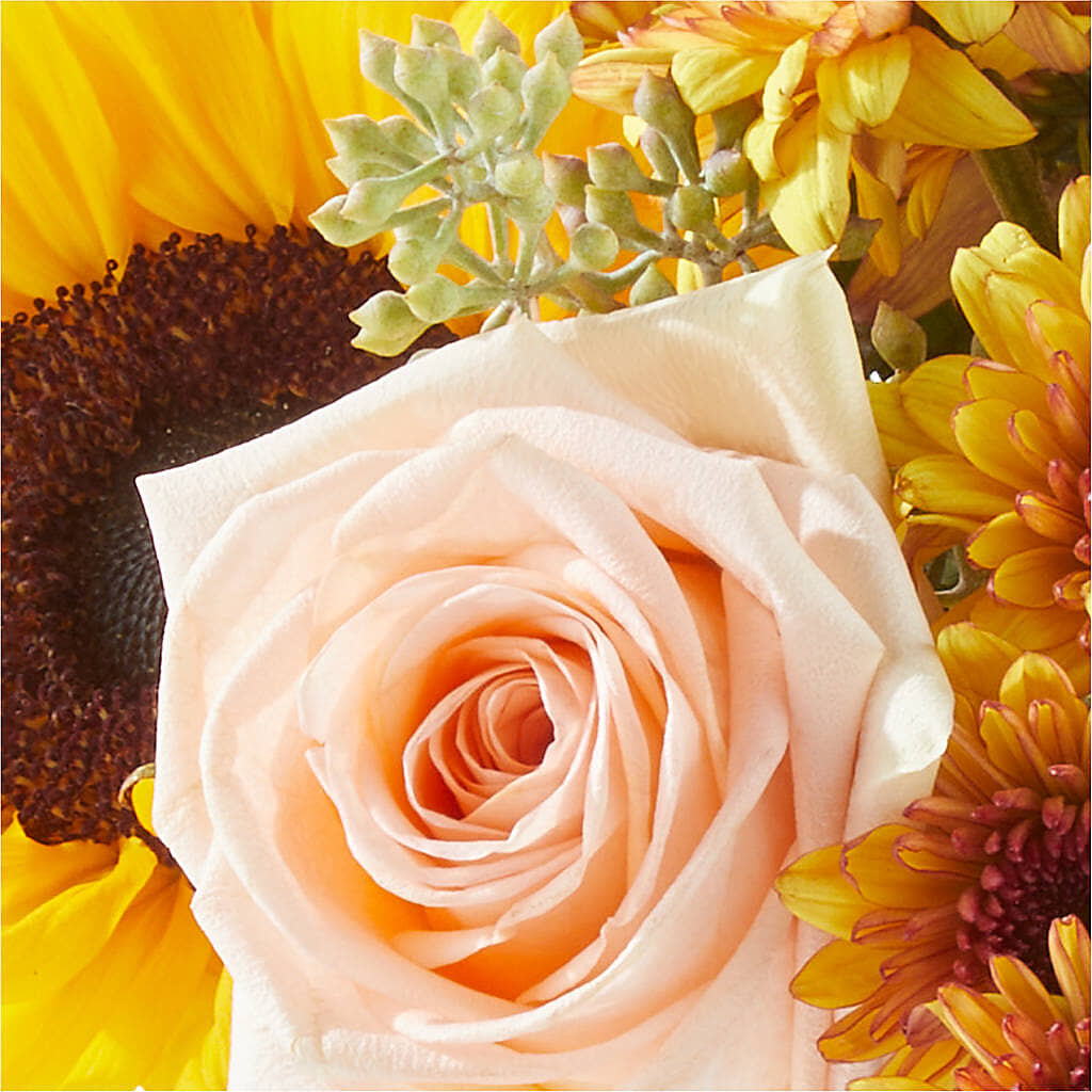 Pumpkin to Talk About Bouquet –  The Flower Shop, Sacramento CA