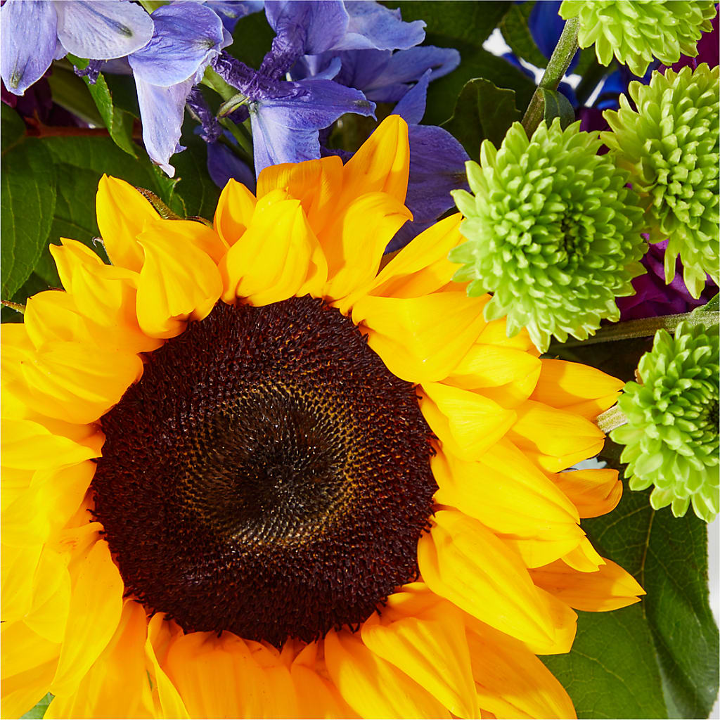 Catching Rays Bouquet –  The Flower Shop, Sacramento CA