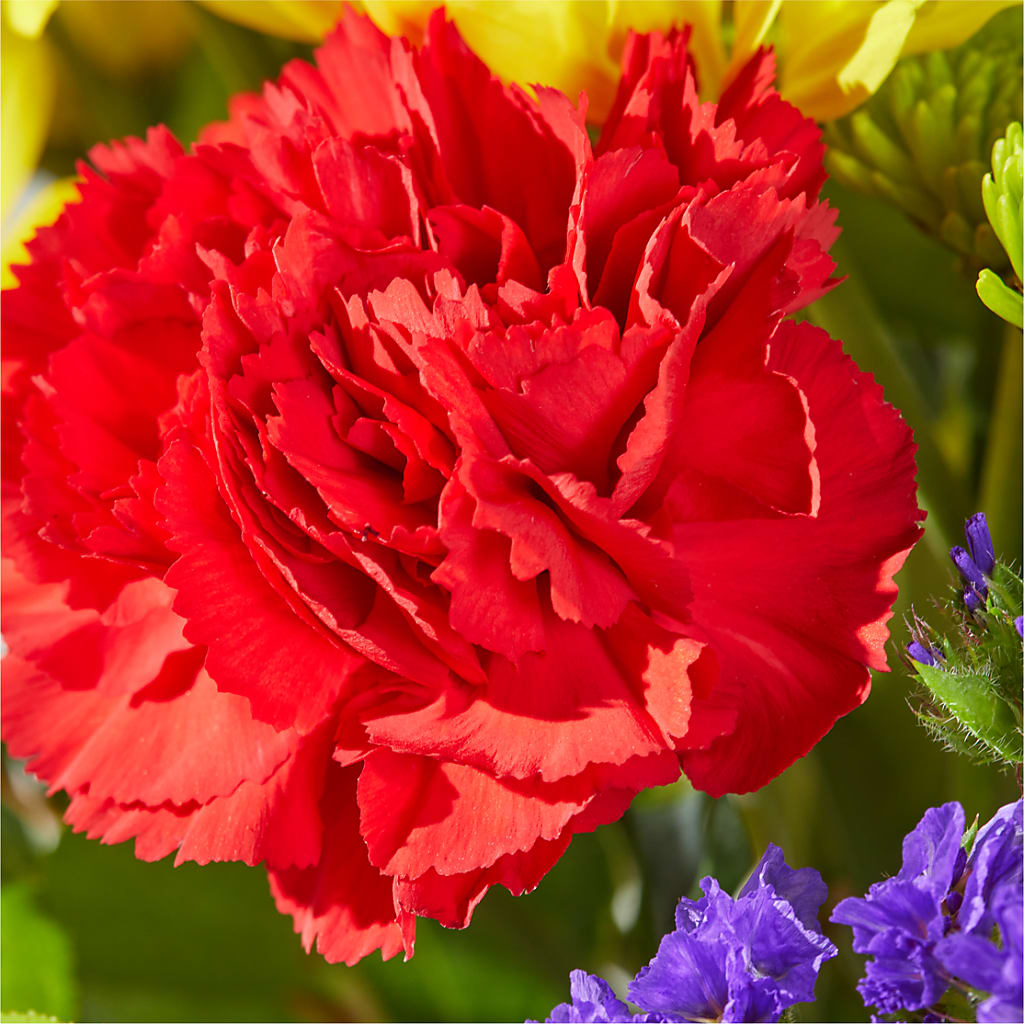 Brighter Days Bouquet –  The Flower Shop, Sacramento CA