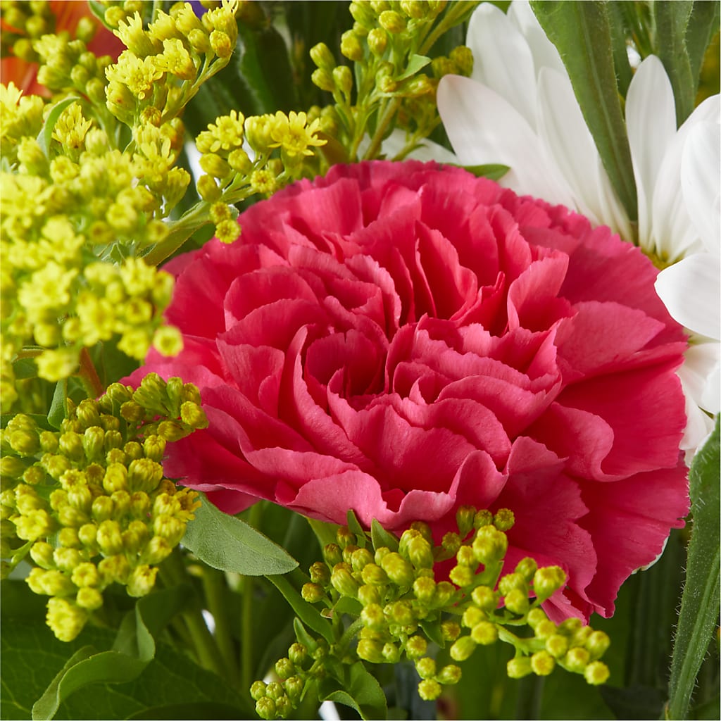 Oopsie Daisy Bouquet –  The Flower Shop, Sacramento CA