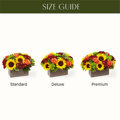 Happy Harvest Garden –  The Flower Shop, Sacramento CA