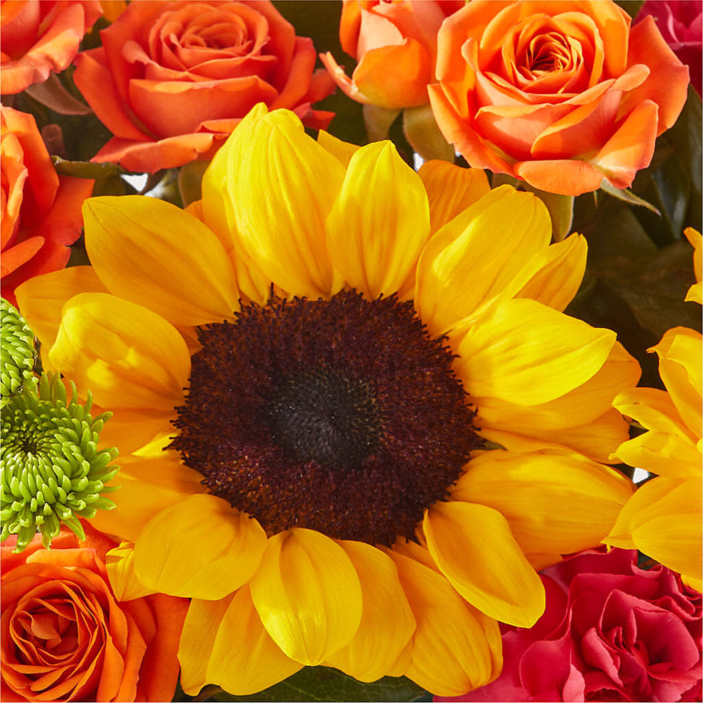 Sun-drenched Blooms Box Bouquet –  The Flower Shop, Sacramento CA