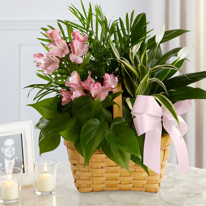 Living Spirit Dishgarden –  The Flower Shop, Sacramento CA
