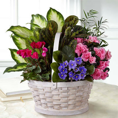 Peaceful Garden Planter –  The Flower Shop, Sacramento CA