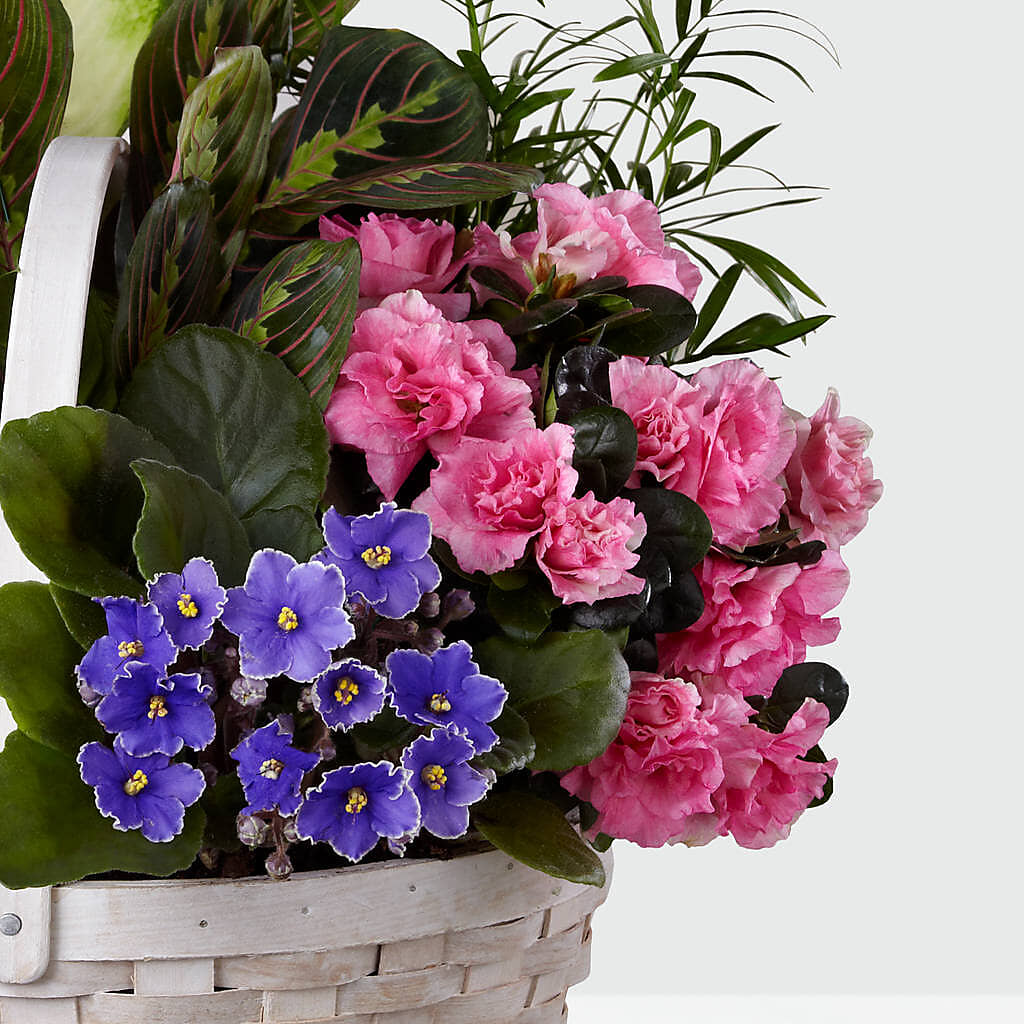 Peaceful Garden Planter –  The Flower Shop, Sacramento CA