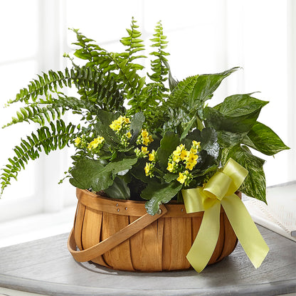 Always Dear Dishgarden –  The Flower Shop, Sacramento CA