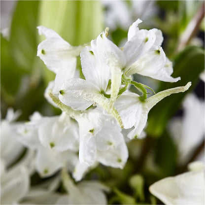 Classic Ivory – A Florist Original –  The Flower Shop, Sacramento CA