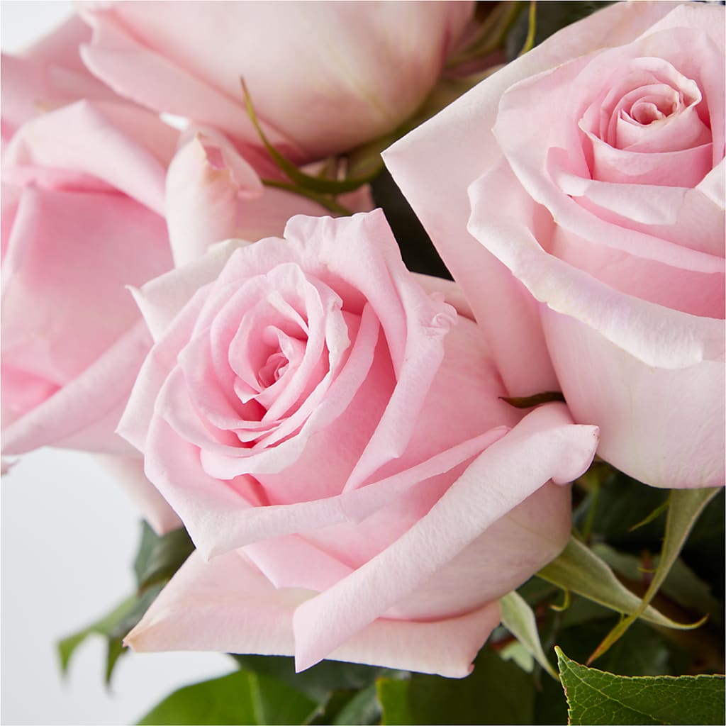 Picture Perfect Pink Rose Bouquet –  The Flower Shop, Sacramento CA