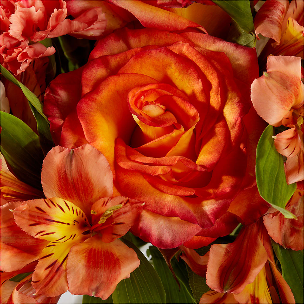 Apricot Glow Bouquet –  The Flower Shop, Sacramento CA