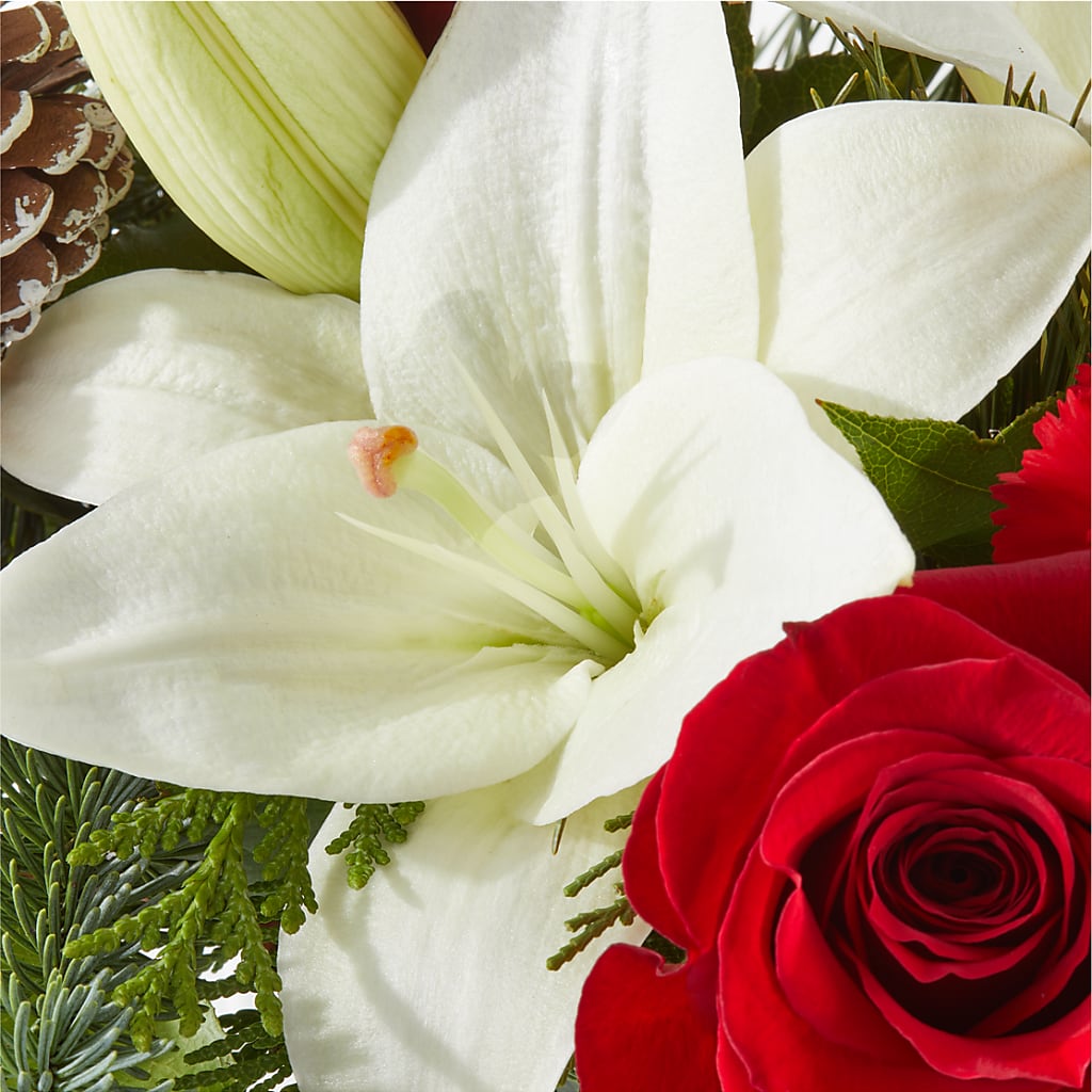 Oh So Jolly Bouquet –  The Flower Shop, Sacramento CA