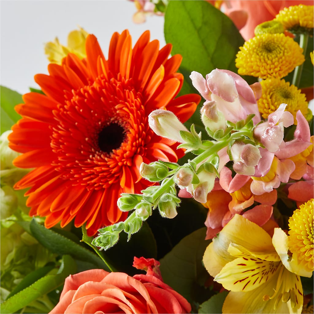 Autumn Sunshine Bouquet –  The Flower Shop, Sacramento CA