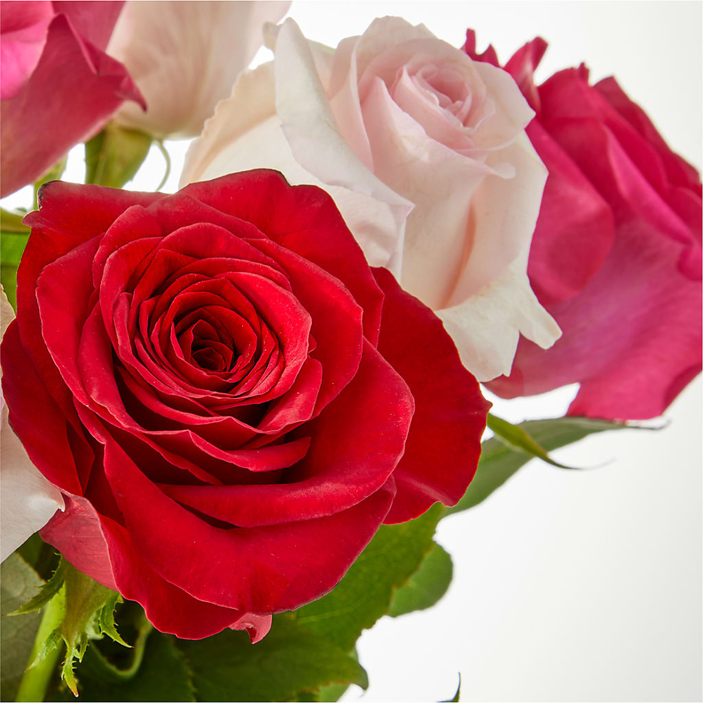 Charming Rose Bouquet –  The Flower Shop, Sacramento CA