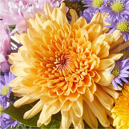 Countryside Bouquet –  The Flower Shop, Sacramento CA