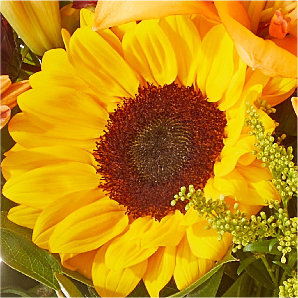 Seasons Change Bouquet –  The Flower Shop, Sacramento CA