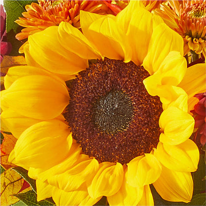 Sunny Side Bouquet –  The Flower Shop, Sacramento CA