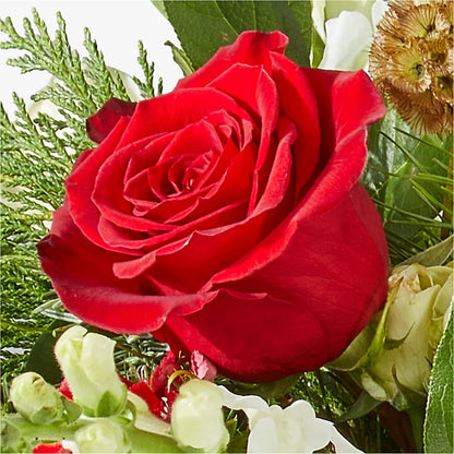 Deck the Halls Bouquet –  The Flower Shop, Sacramento CA