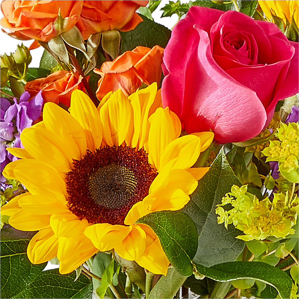 Vibrant Greetings Bouquet –  The Flower Shop, Sacramento CA