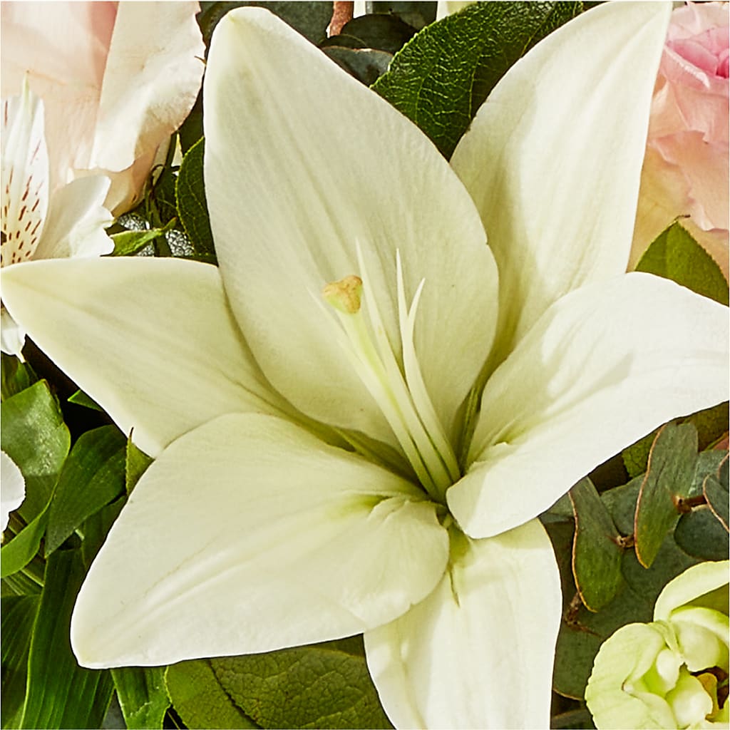 Ballet Slippers Bouquet –  The Flower Shop, Sacramento CA