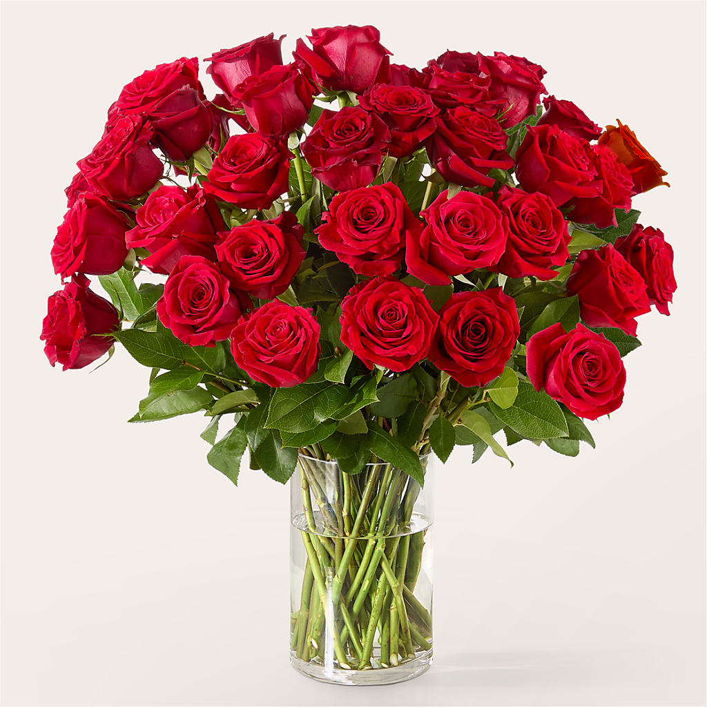 The One Red Rose Bouquet –  The Flower Shop, Sacramento CA