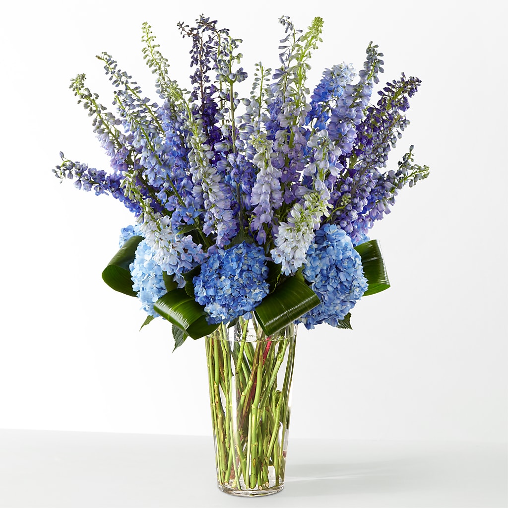 The Editorial –  The Flower Shop, Sacramento CA