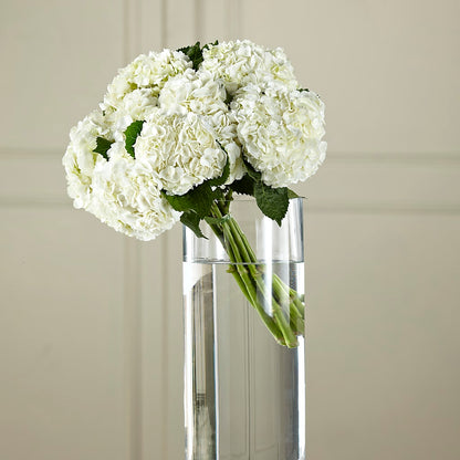 White Hydrangea Hand-Tied Bouquet –  The Flower Shop, Sacramento CA