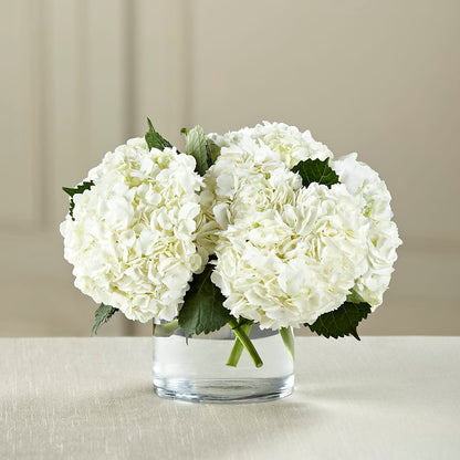 White Hydrangea Bouquet –  The Flower Shop, Sacramento CA