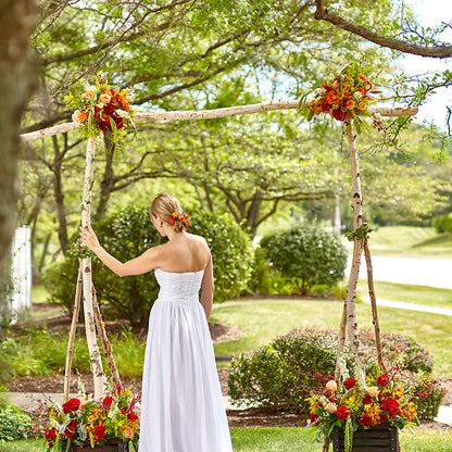 Arbor of Love Archway –  The Flower Shop, Sacramento CA