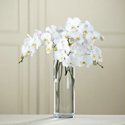 White Phalaenopsis Bouquet –  The Flower Shop, Sacramento CA